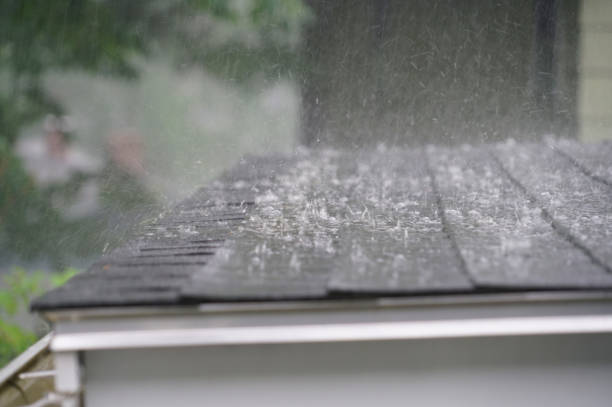 Best Roof Inspection  in Carrollton, IL